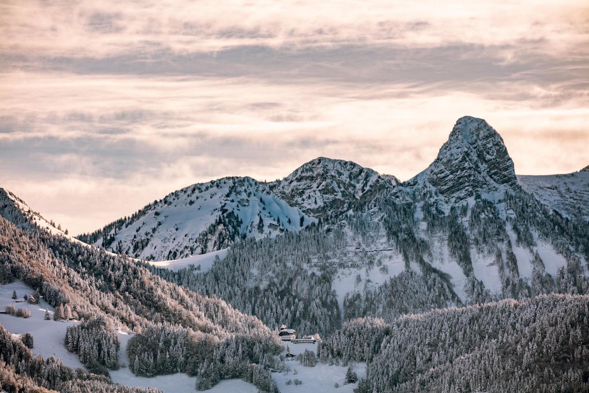 Le Toit De Chardonne - Entre Alpes Et Lac Leman Exterior foto